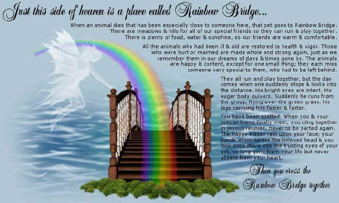 Rainbow_Bridge
