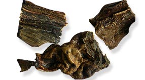 dried-livers