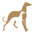 greyhound website snip